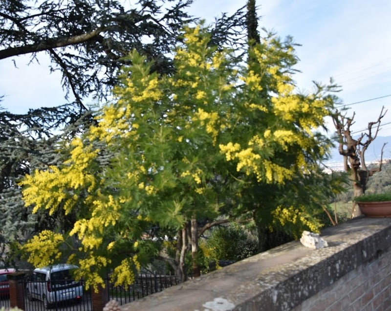 Comunità villa Jolanda - 2