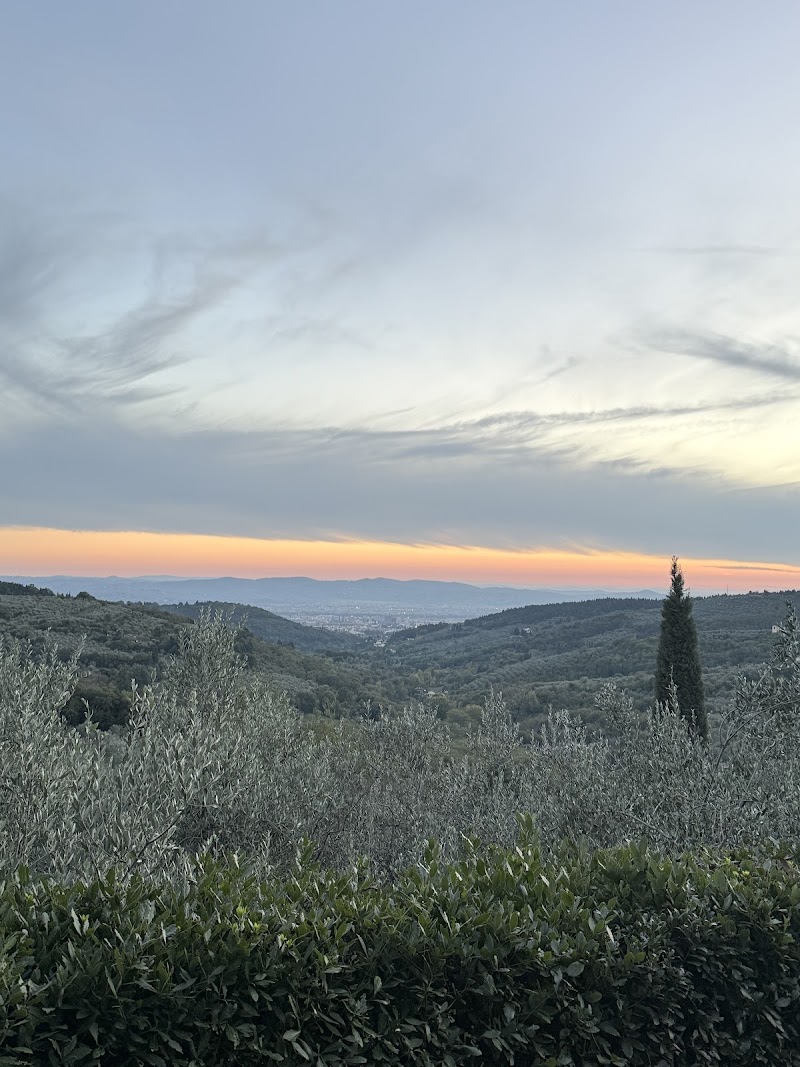 Villa Mimosa Florence - 4