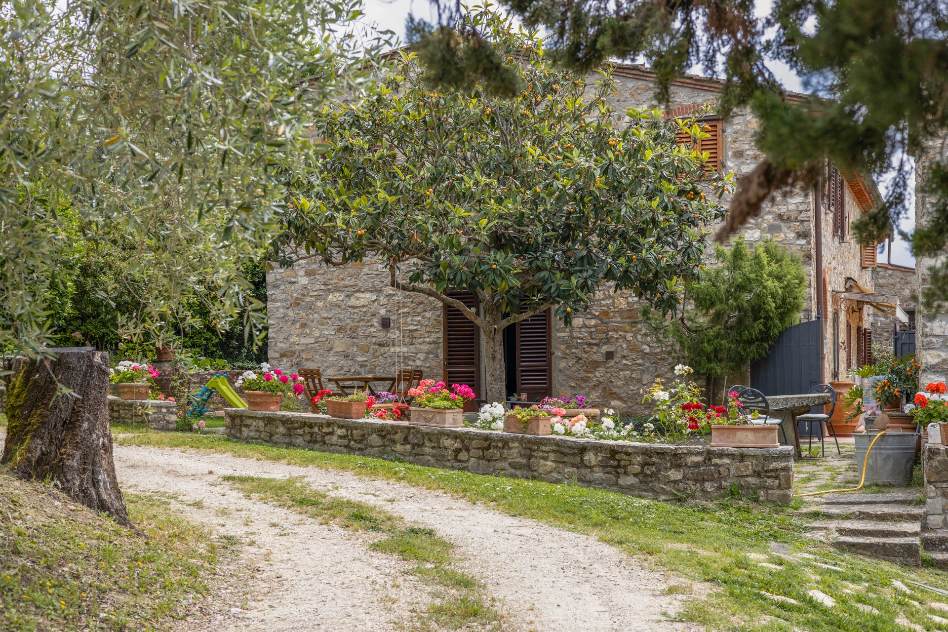 Casa Nespolo - Agriturismo Mezzosso - 3