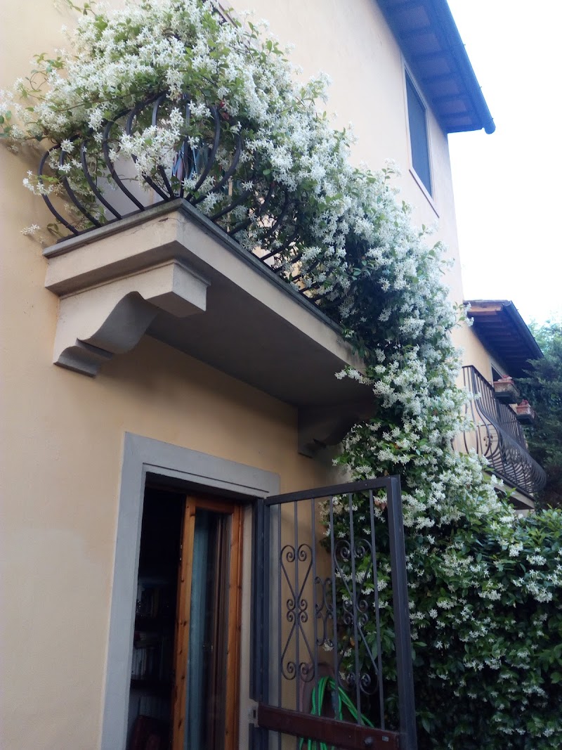 Villa il Farneto - 3