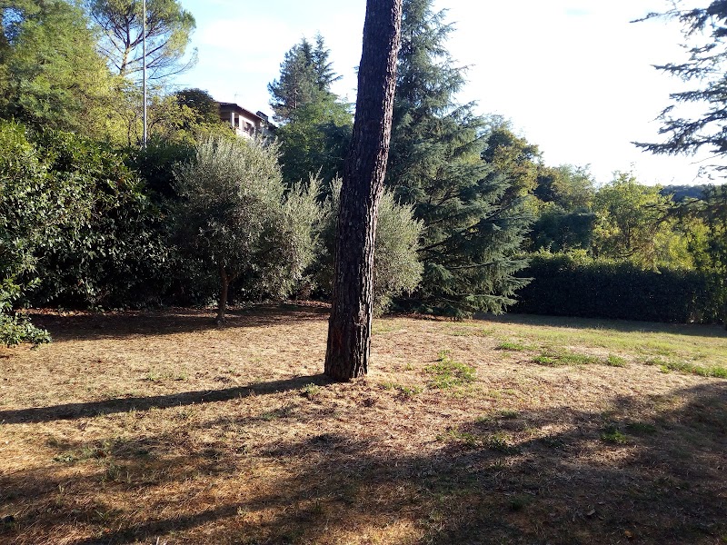 Villa il Farneto - 4