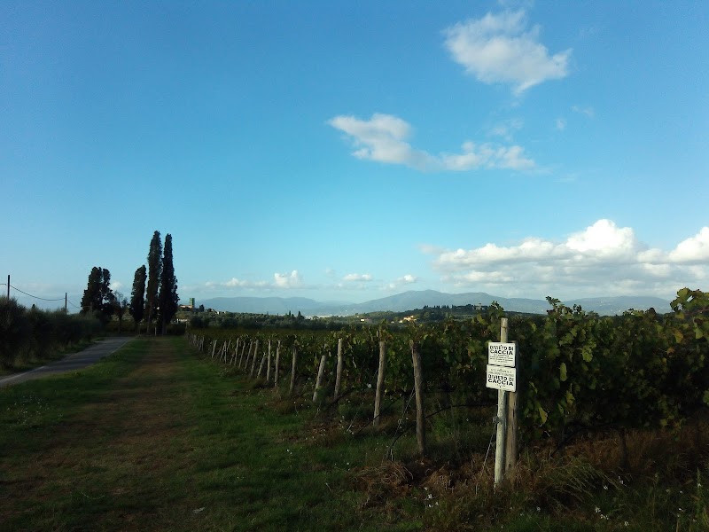 Villa Le Cipresse - 3