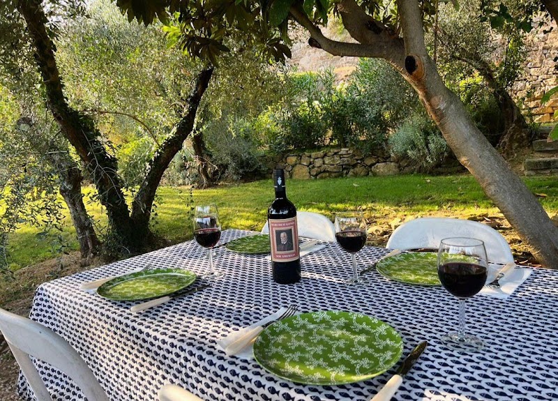 Luxury Villas In Florence - 3