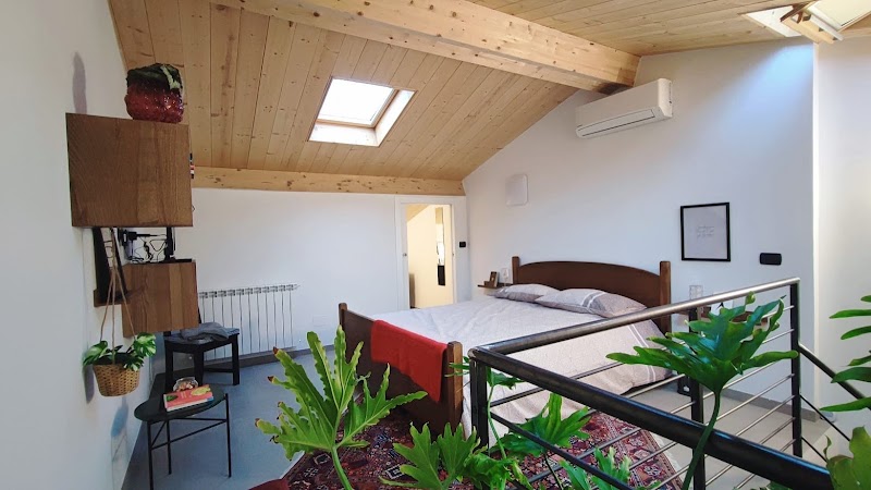 La Casa di Pando - 3