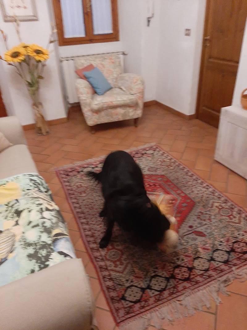 CASA VACANZE BOITO36 - 4