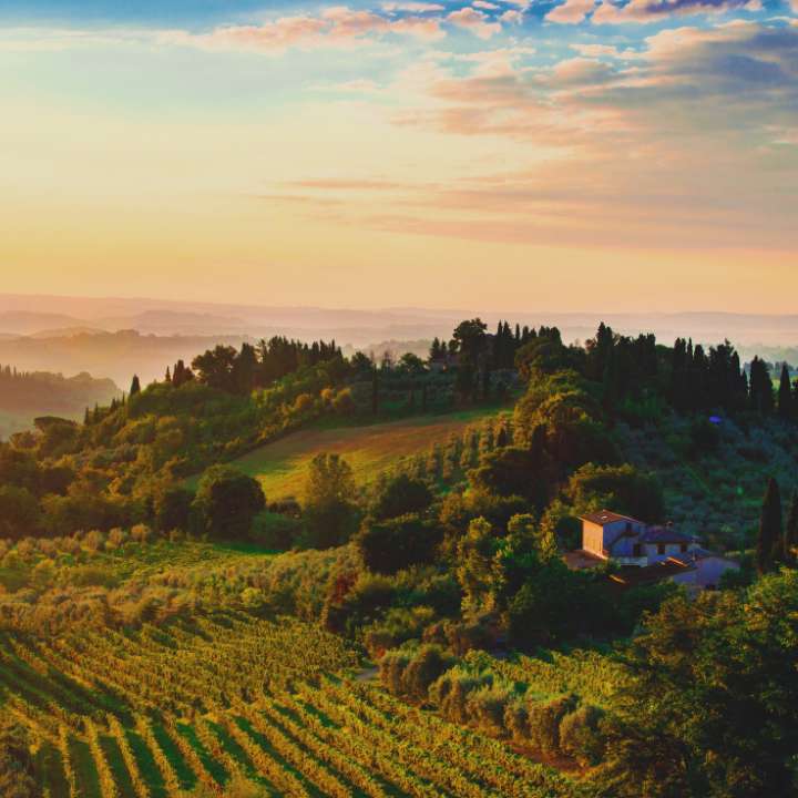 Terrace Sunset Homes