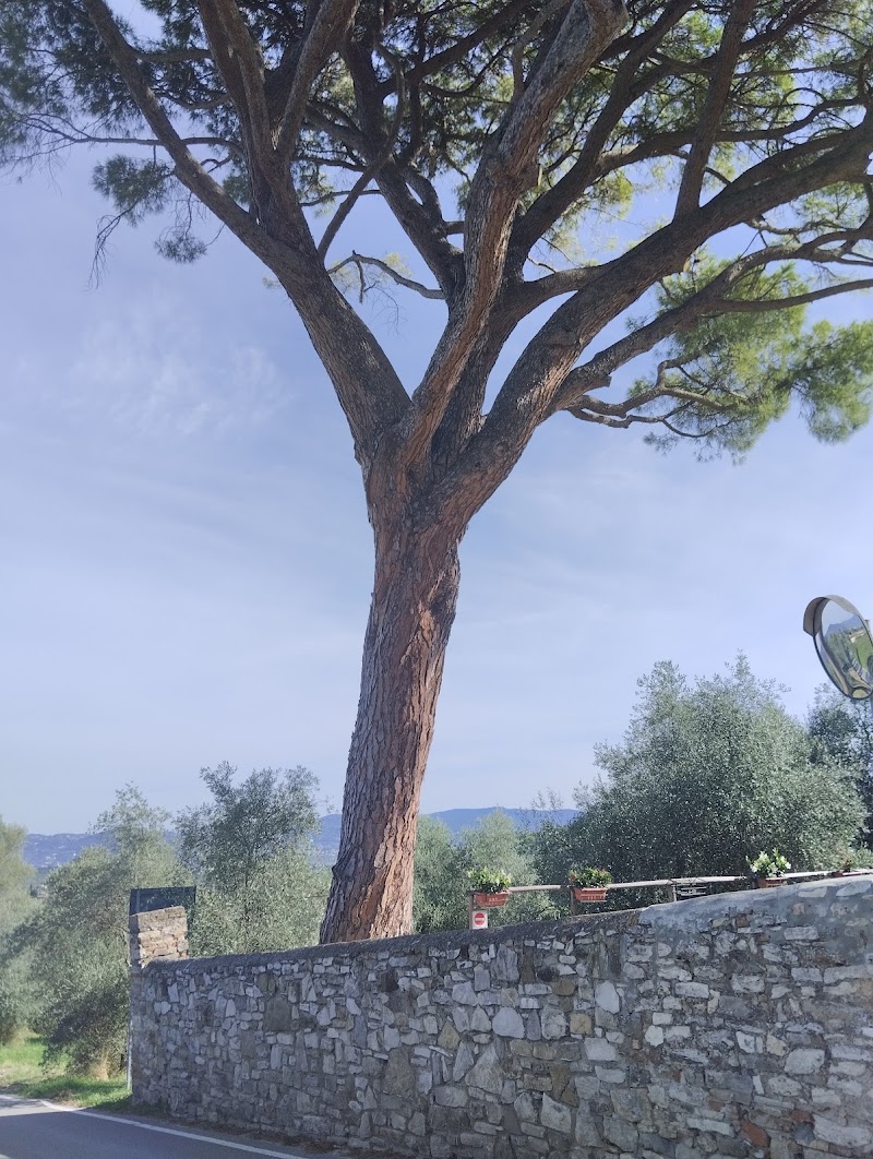 La Torre Residences - 3