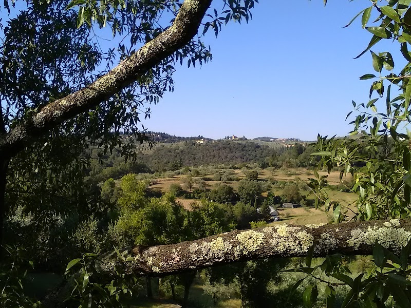 Agricola Poderino - 2