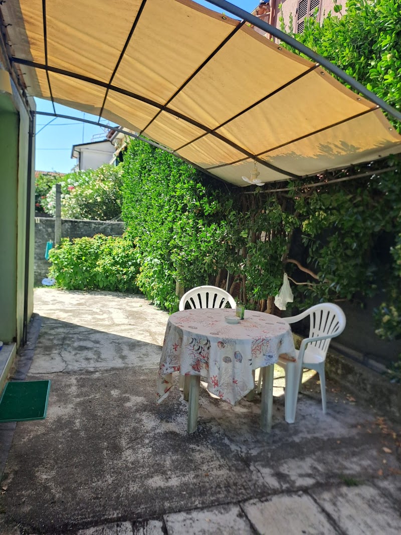 le case di olivia - 3