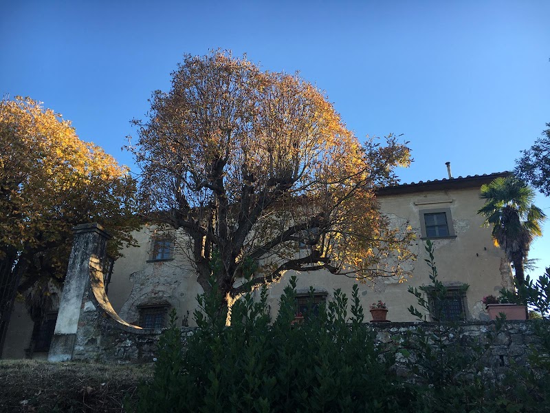 Lawrence's House - 2