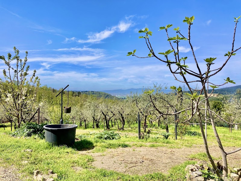 Poderino di Santa Lucia - 3