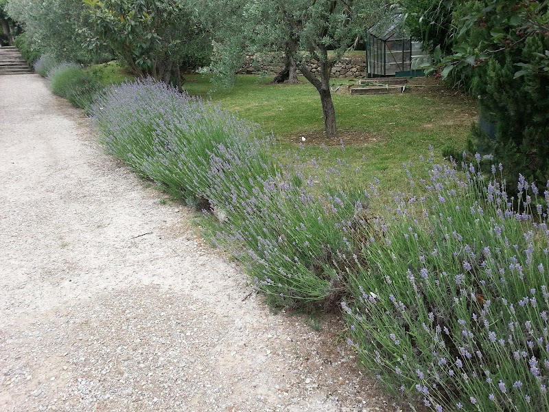 Casavaliversi appartamenti - Sesto Fiorentino - 3