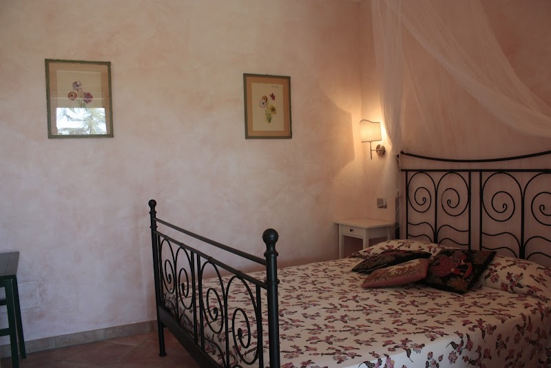 Ulivi di castello - 2