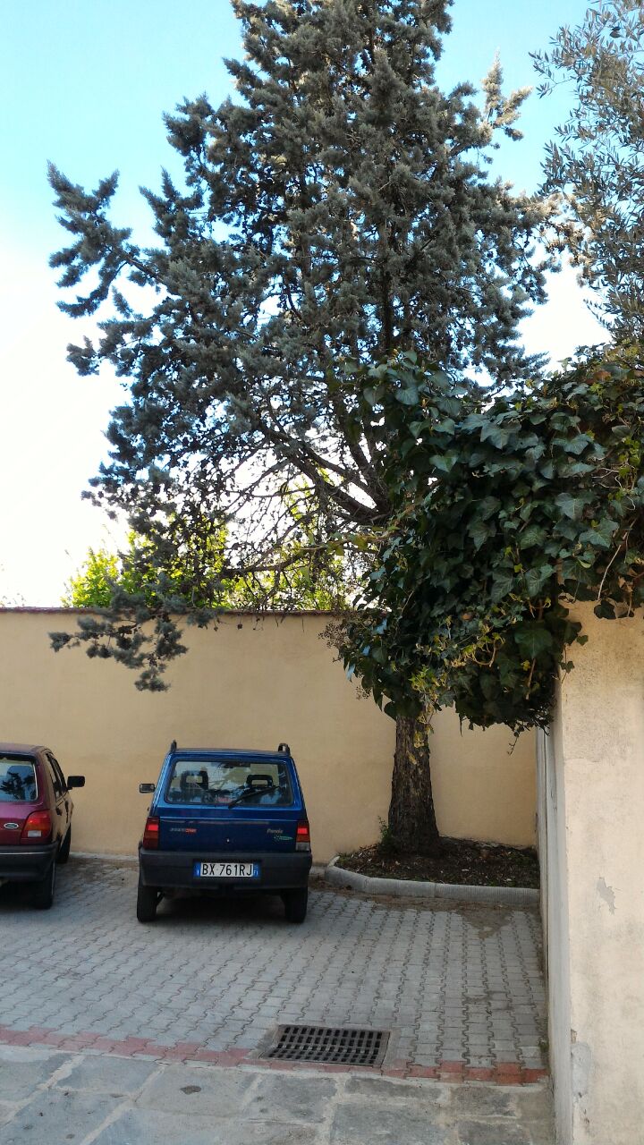 Il Gufo Pensatore - 3