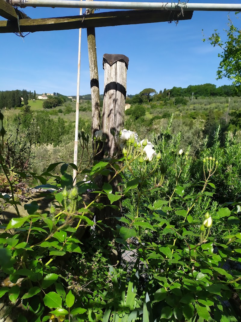 Parcheggio Poggio Oliva - 2