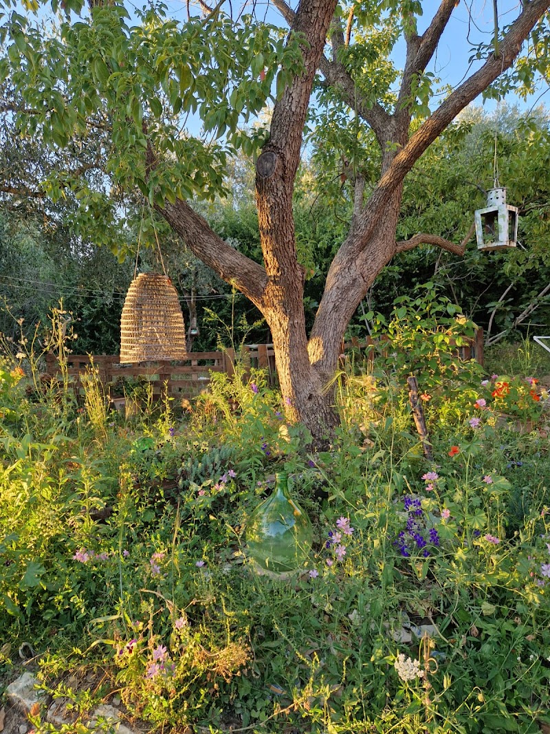 B&B Podere Valdibotte - 2