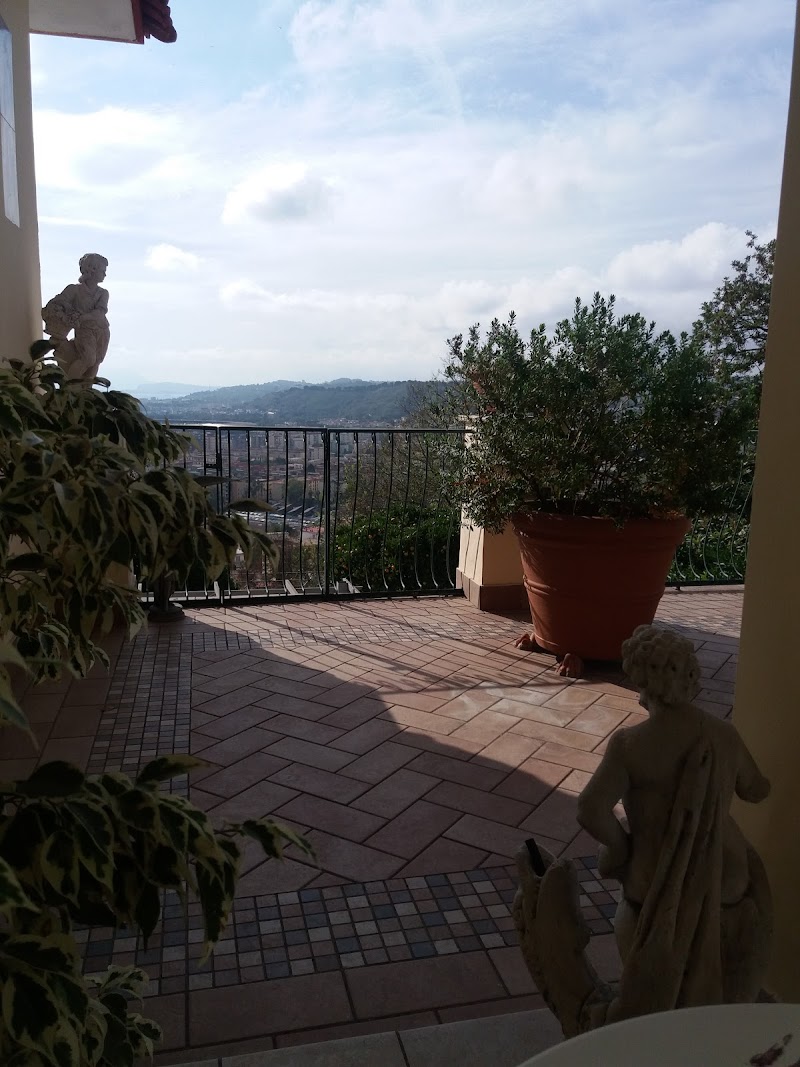 Agrumeto Flegreo - 2