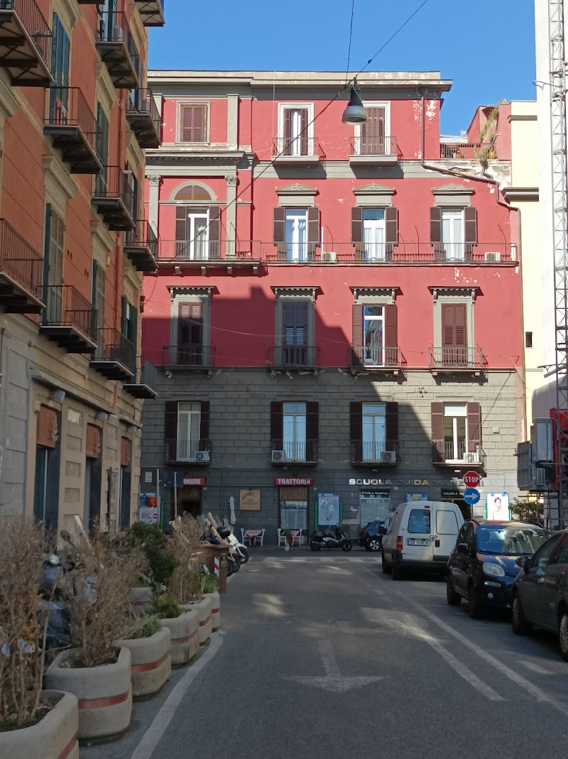 Arcoleo Prestige By Dimorra - 2