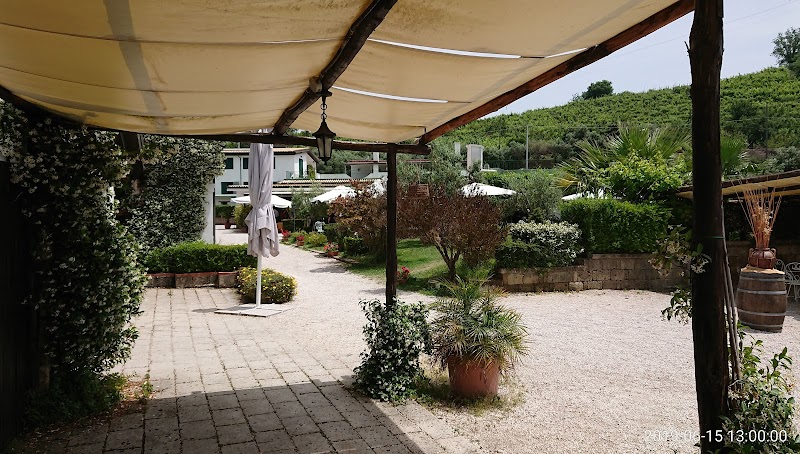 Tenuta Monte Sant'Angelo - 3