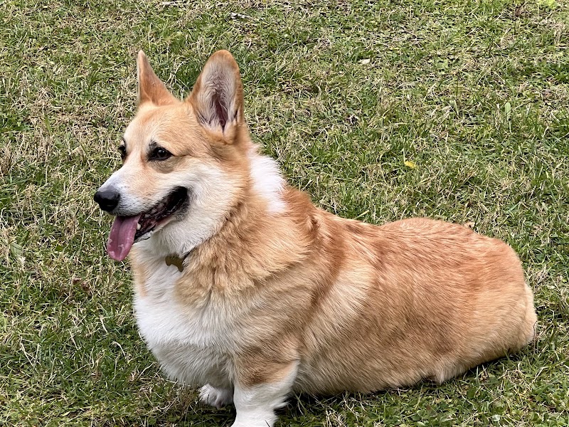 Bau House di Domenico Esposito - 3