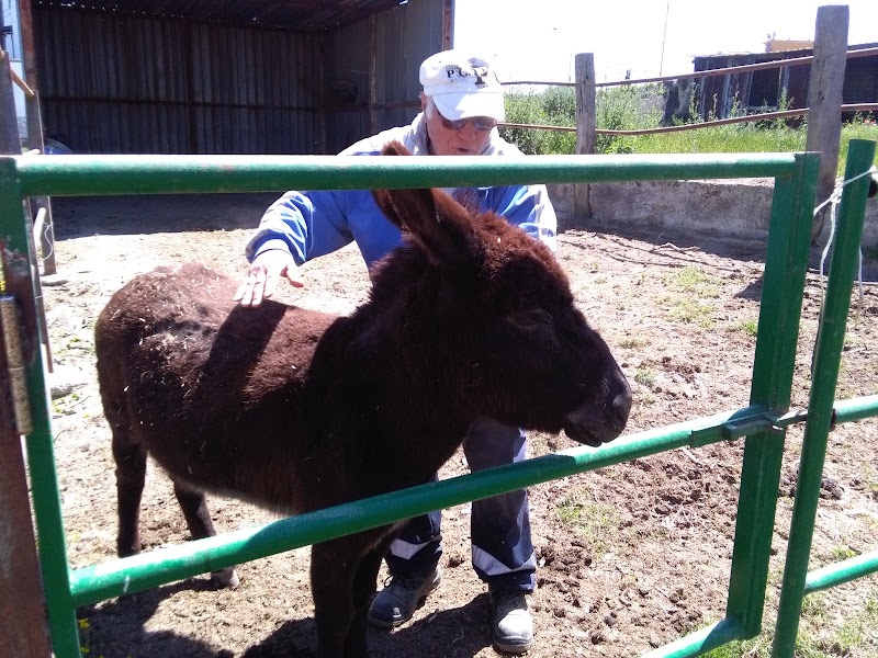 Nuvoletta Per Salvatore Societa' Cooperativa Sociale Fattoria&agricoltura - 3