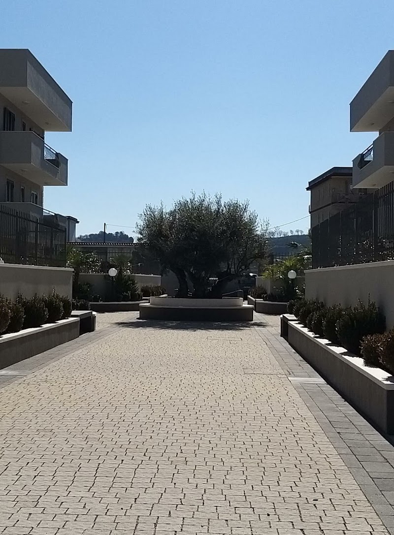 Parco degli Ulivi - 2