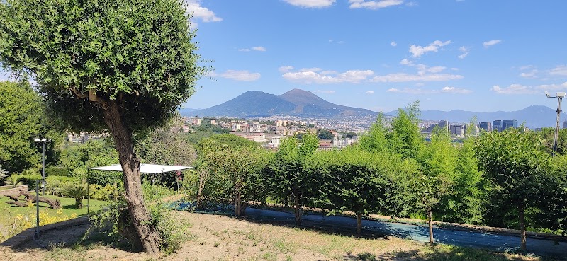 Masseria Michele - 2