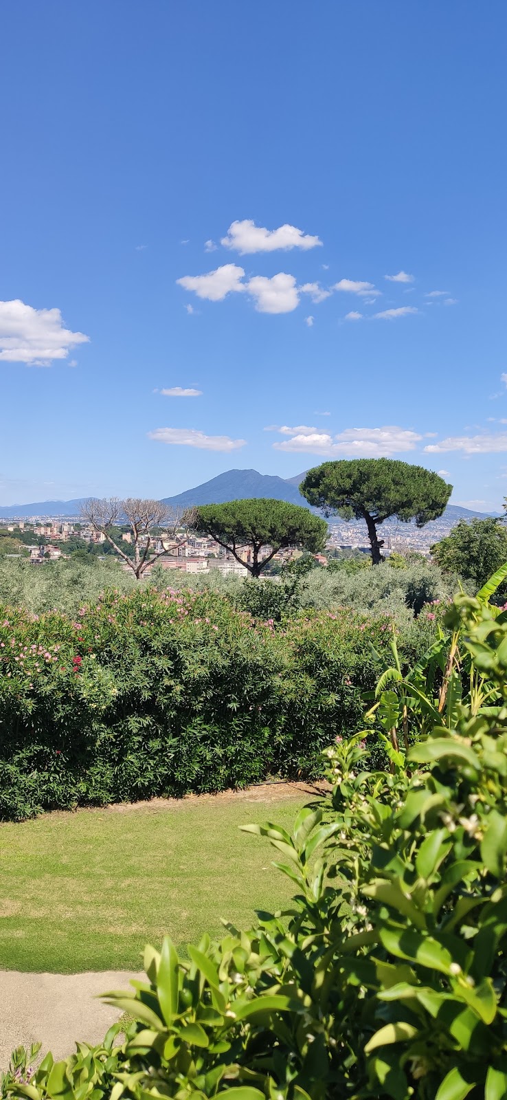 Masseria Michele - 3