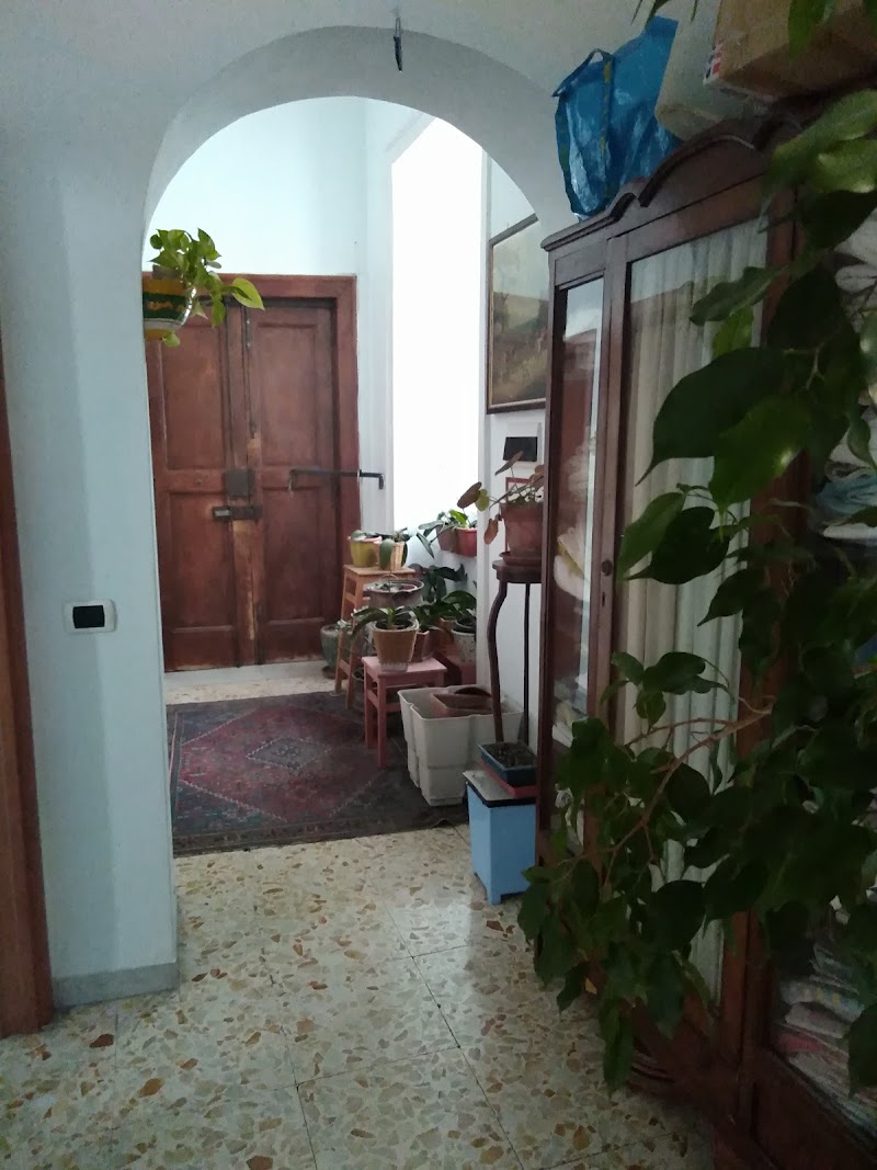 I Fiori di Napoli B&B - 2