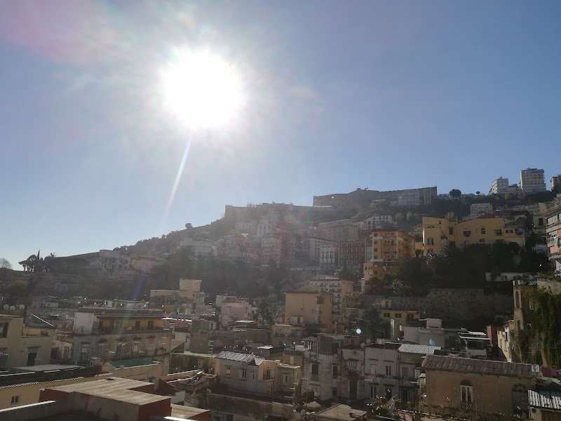 Emma House Room Yellow - 2