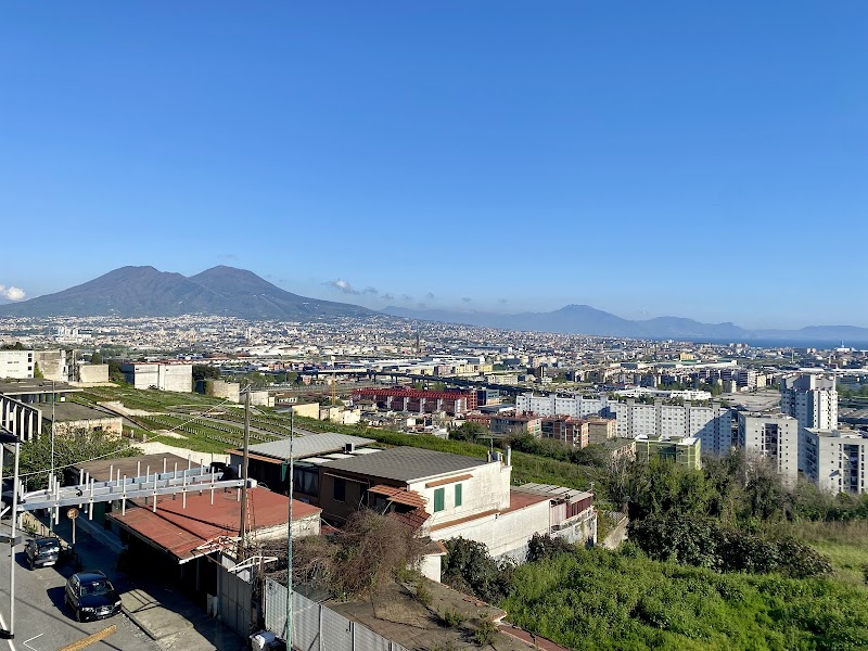 Vesuvio Raimbow Fly - 2