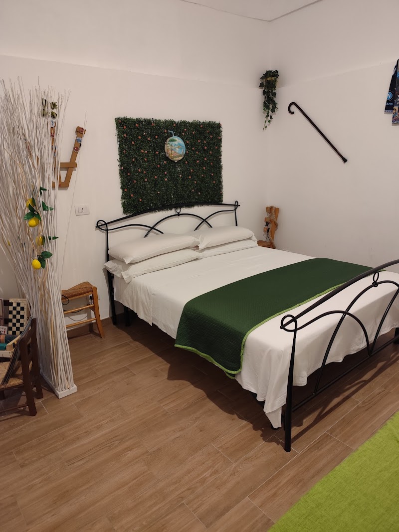 BeB Da Basso Experience