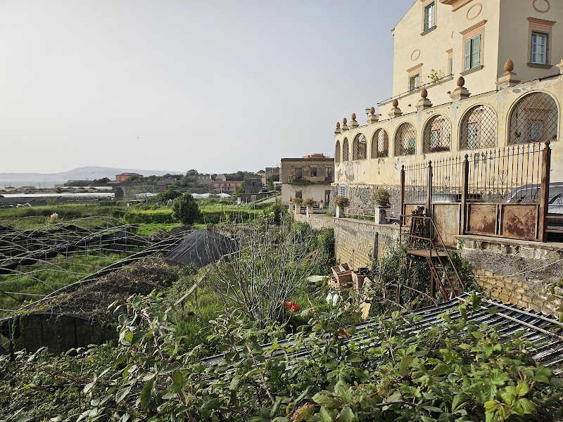 VESUCHARME Suite Luxury Room b&b CIN IT063049B4VXDTORT6 - 2