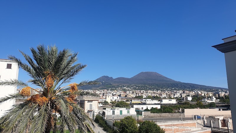 Melograno undici - 2