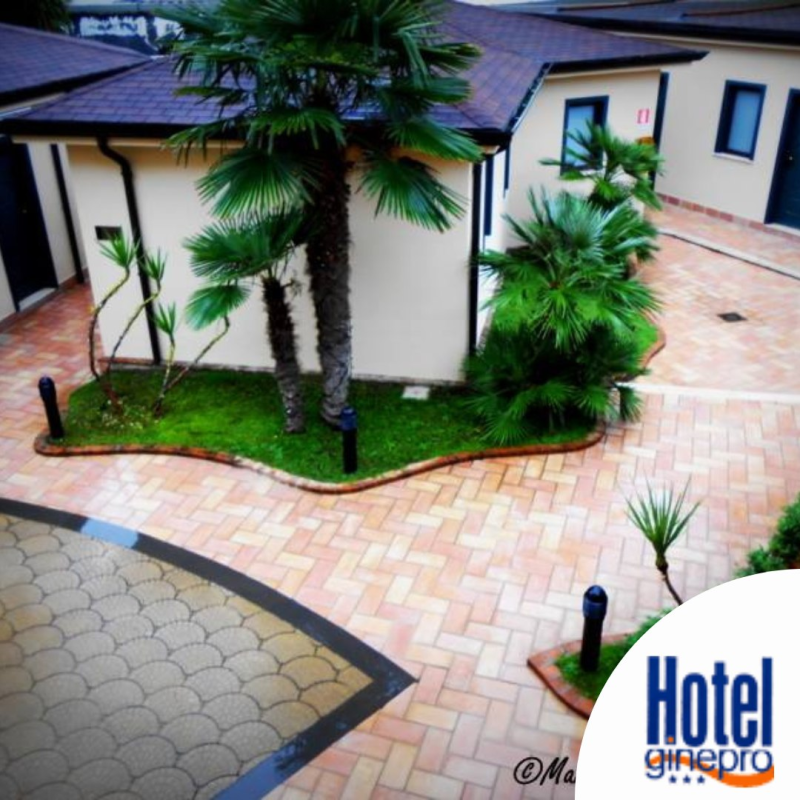 Hotel Ginepro 4 Stelle - 2