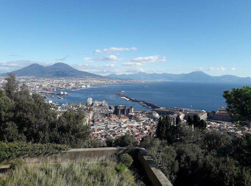 HOTEL FEDERICO II - 3