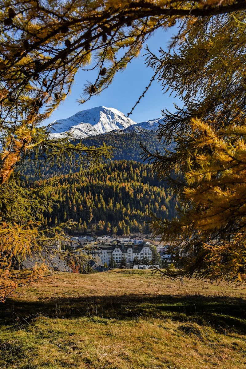 Cresta Palace Hotel - 4